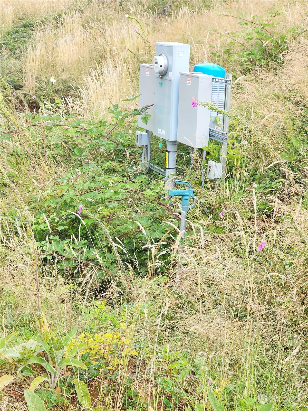 255 Arrowhead Drive Elma, WA 98541 - Photo 18 of 20 a building view with swimming pool and trees in the background