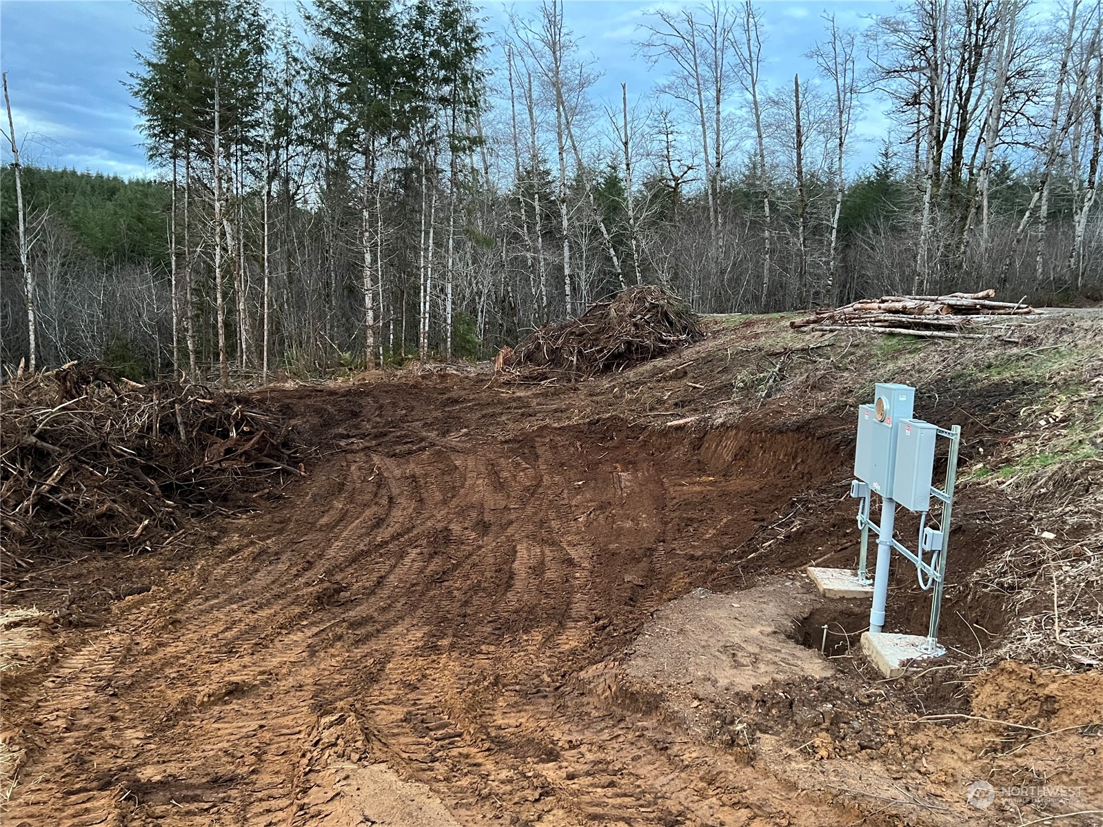 255 Arrowhead Drive Elma, WA 98541 - Photo 19 of 20 a view of a park with large trees