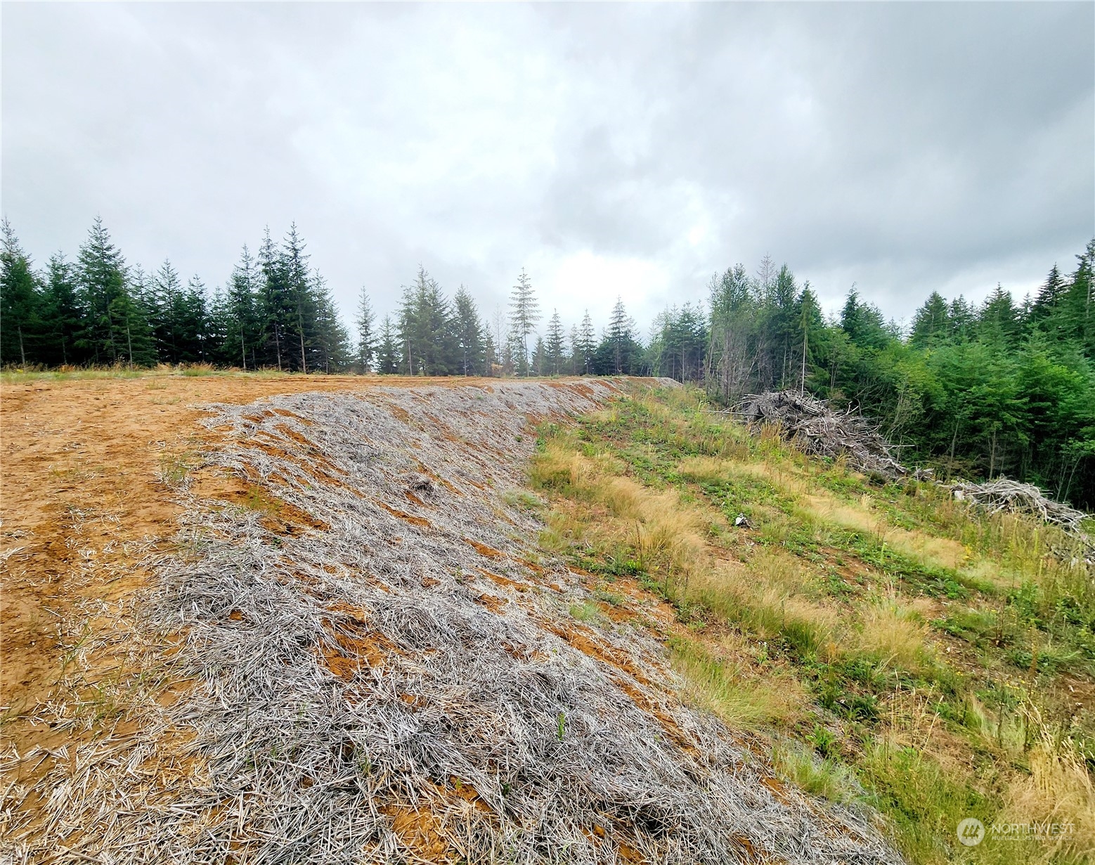 255 Arrowhead Drive Elma, WA 98541 - Photo 5 of 20 a view of outdoor space with trees all around