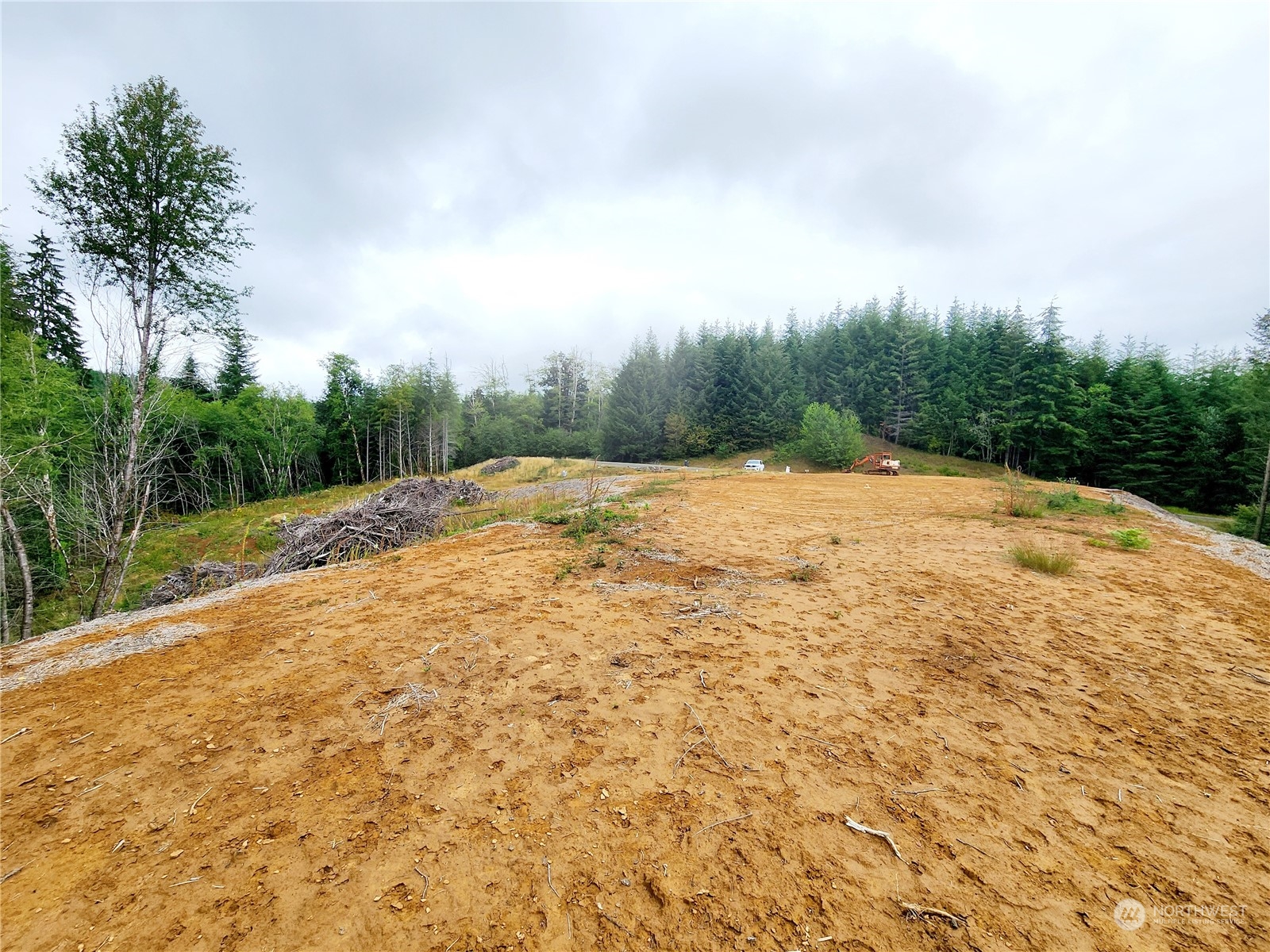 255 Arrowhead Drive Elma, WA 98541 - Photo 6 of 20 a view of an outdoor space and yard
