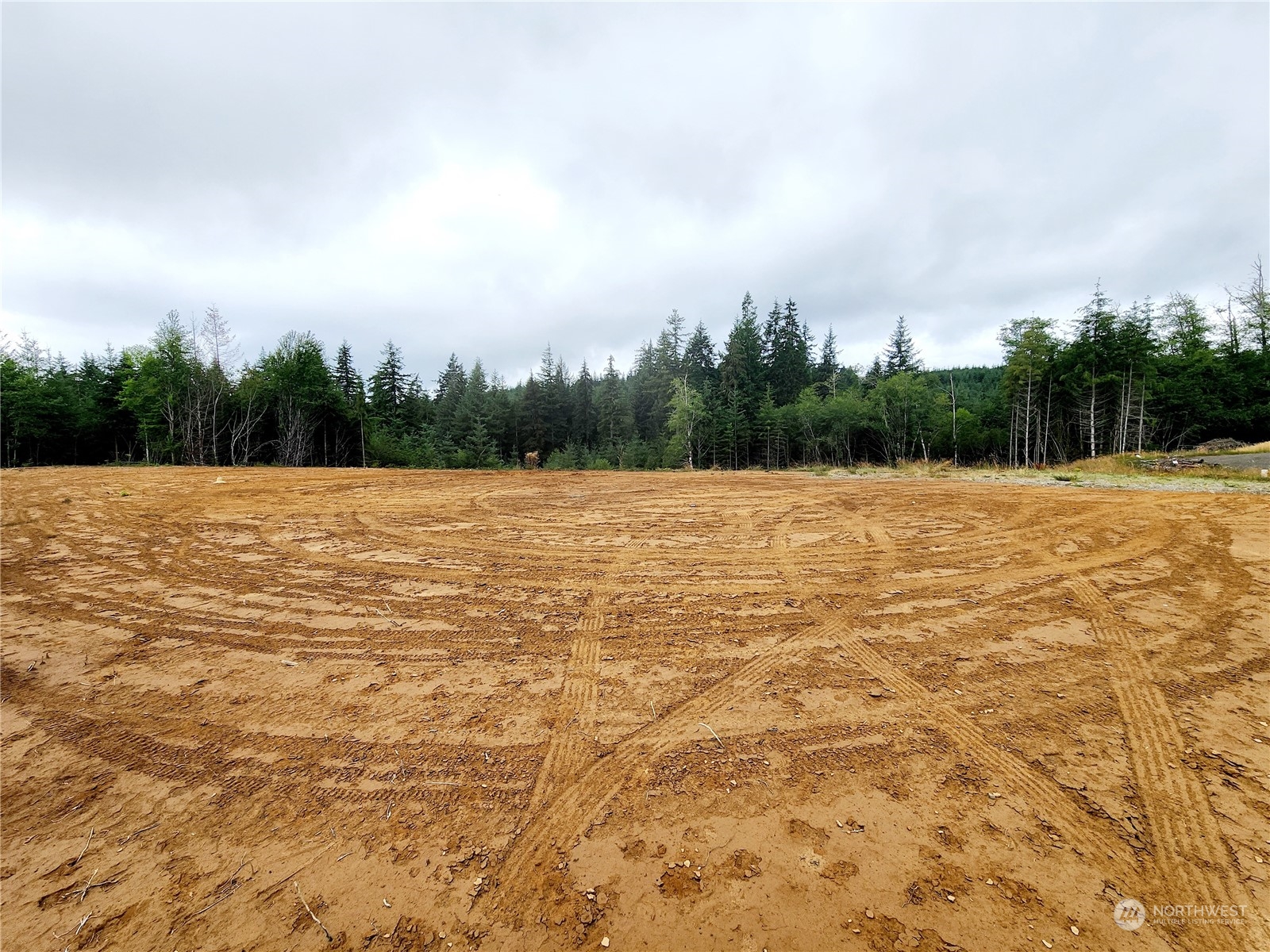 255 Arrowhead Drive Elma, WA 98541 - Photo 8 of 20