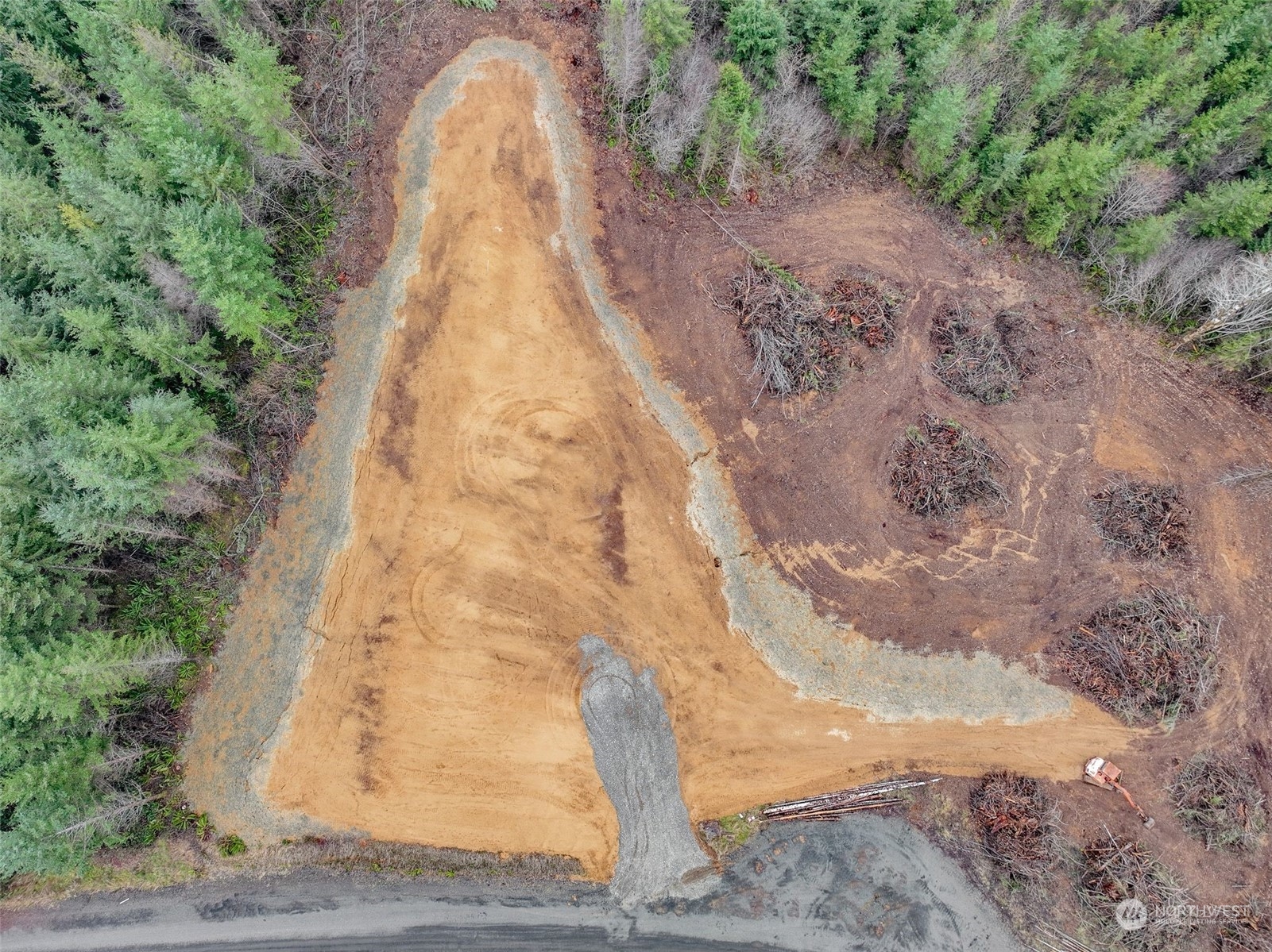 255 Arrowhead Drive Elma, WA 98541 - Photo 10 of 20 a view of a yard with a trees