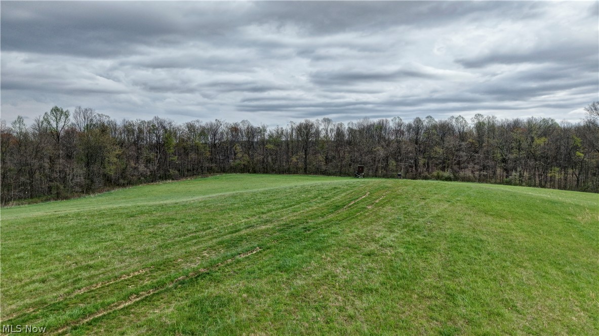 75964 Science Hill Road Kimbolton, OH 43749 - Photo 13 of 37
