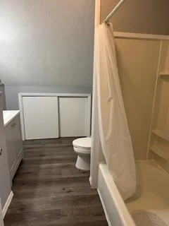 a bathroom with a sink and a toilet