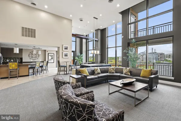 a view of a big yard with potted plants and large tree