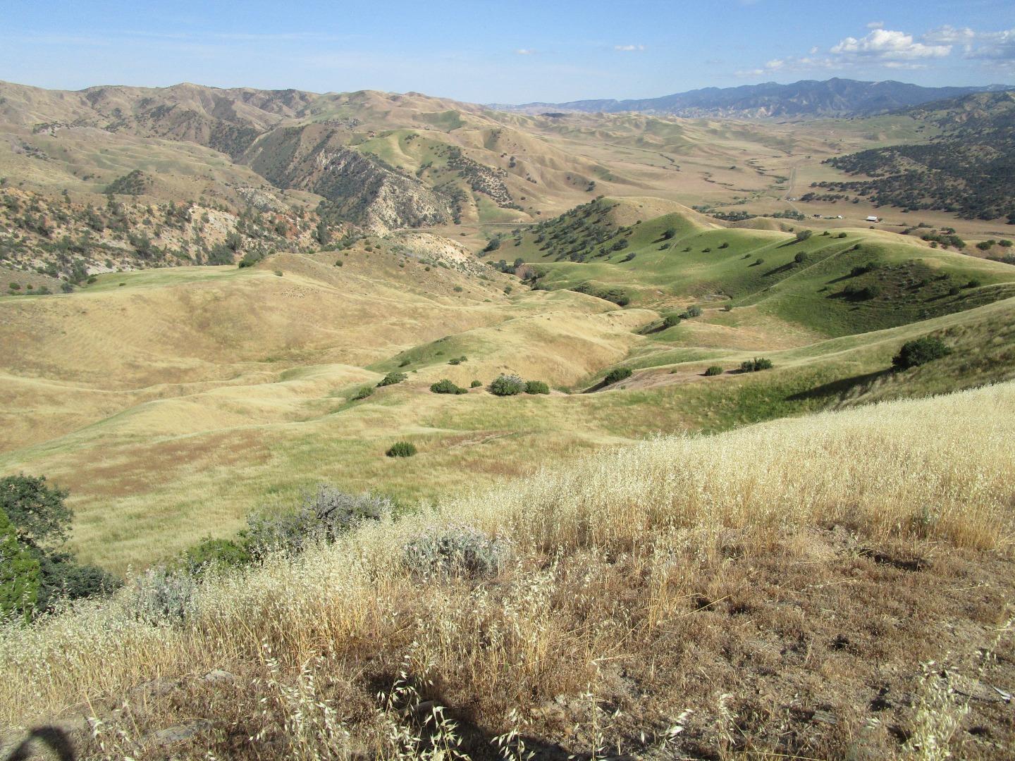 0 New Idria Road Paicines, CA 95043 - Photo 19 of 20 Gallery Image 19