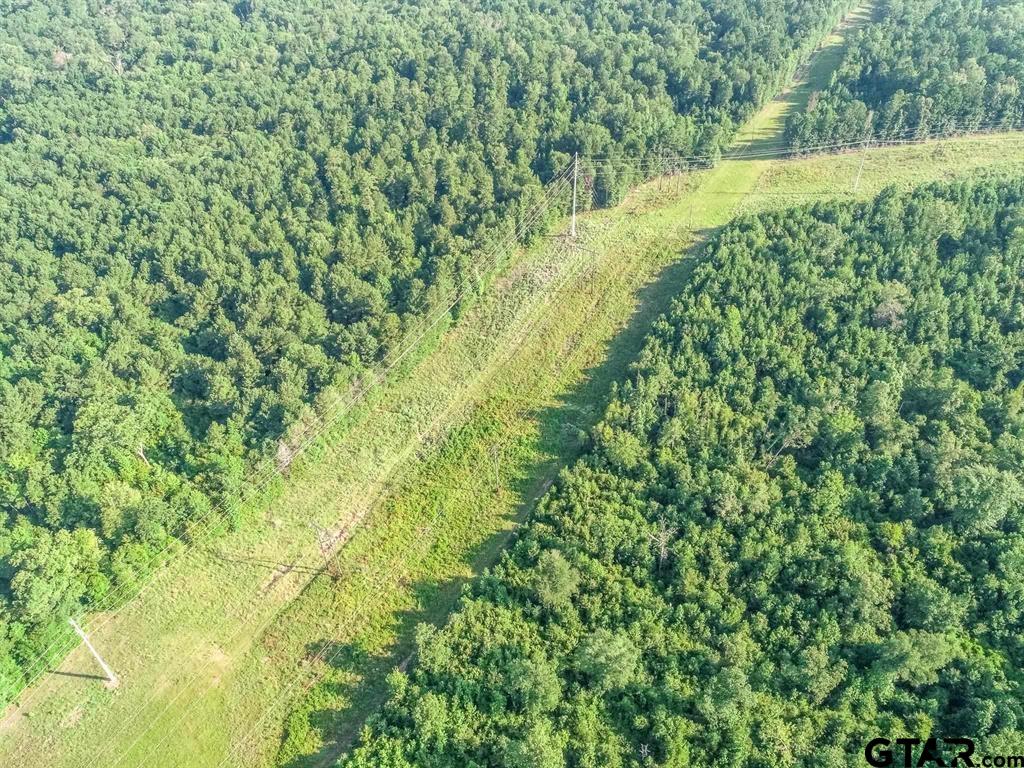 259 & Sego Lily Road Diana, TX 75640 - Photo 4 of 22