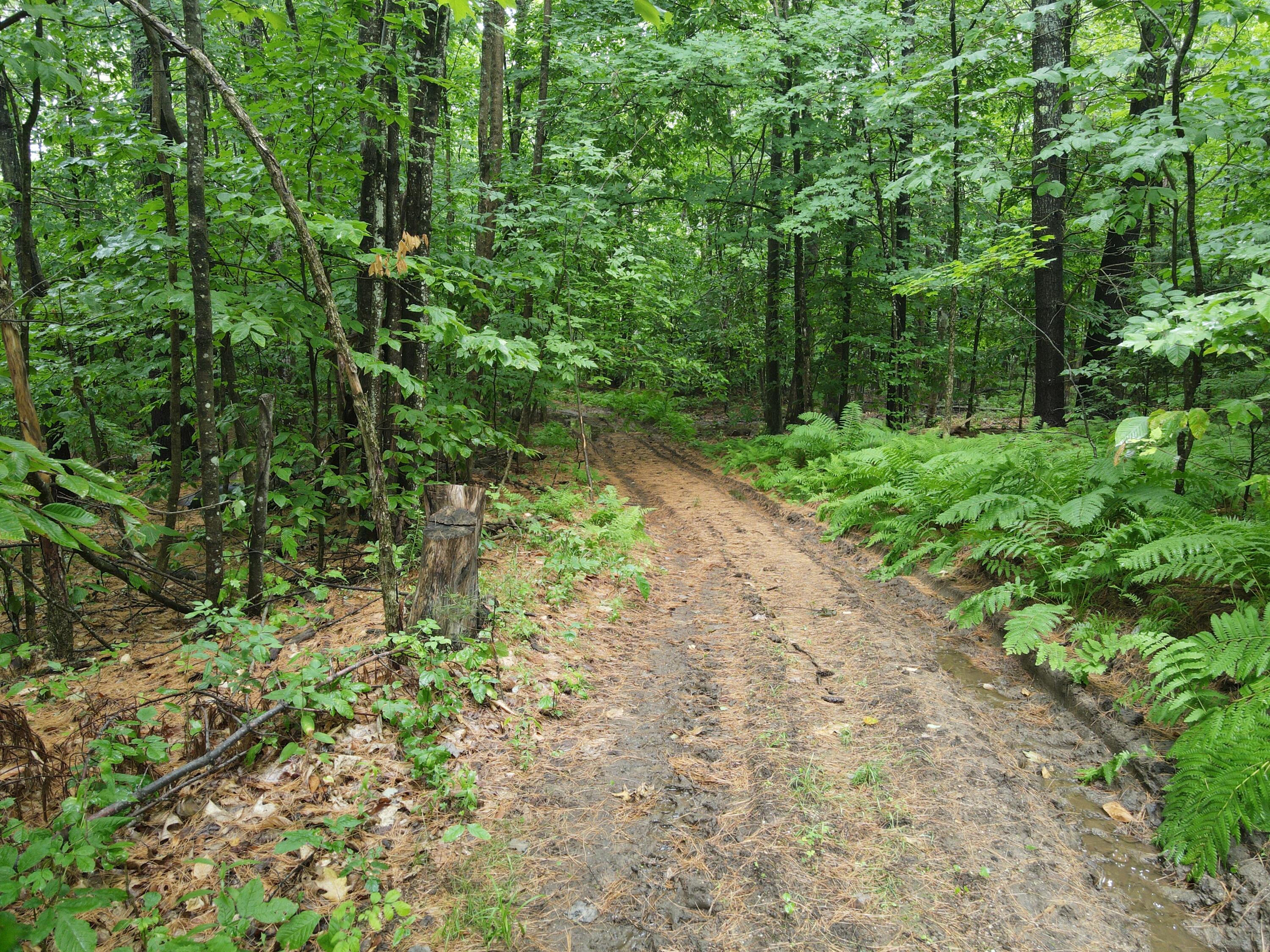 0 North Street Mechanic Falls, ME 04256 - Photo 18 of 18 ROW Entrance