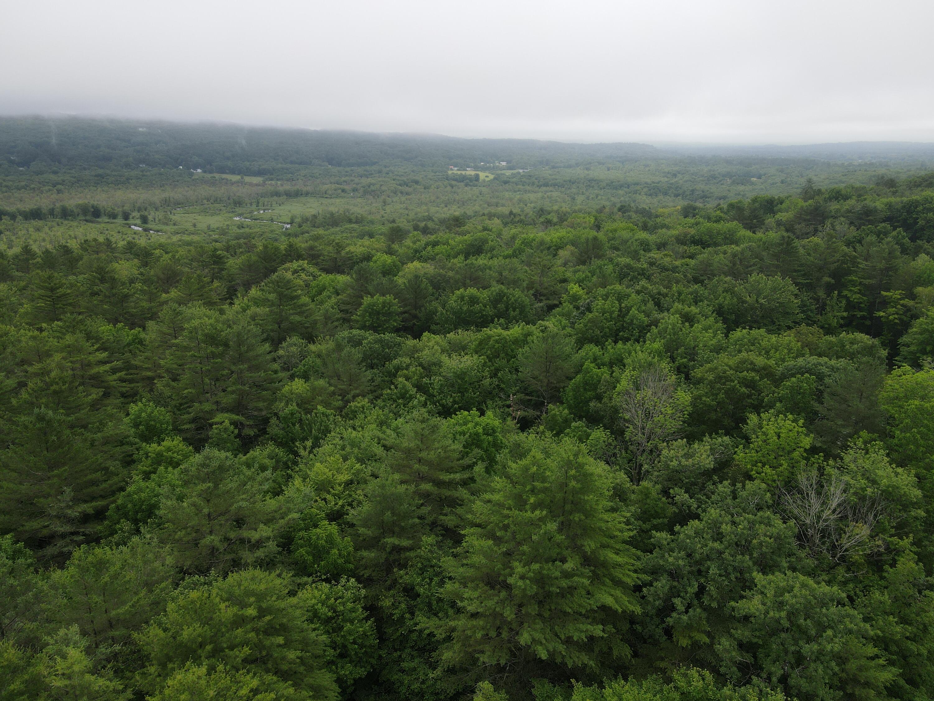 0 North Street Mechanic Falls, ME 04256 - Photo 3 of 18 dji_fly_20250712_110504_534_175234106682