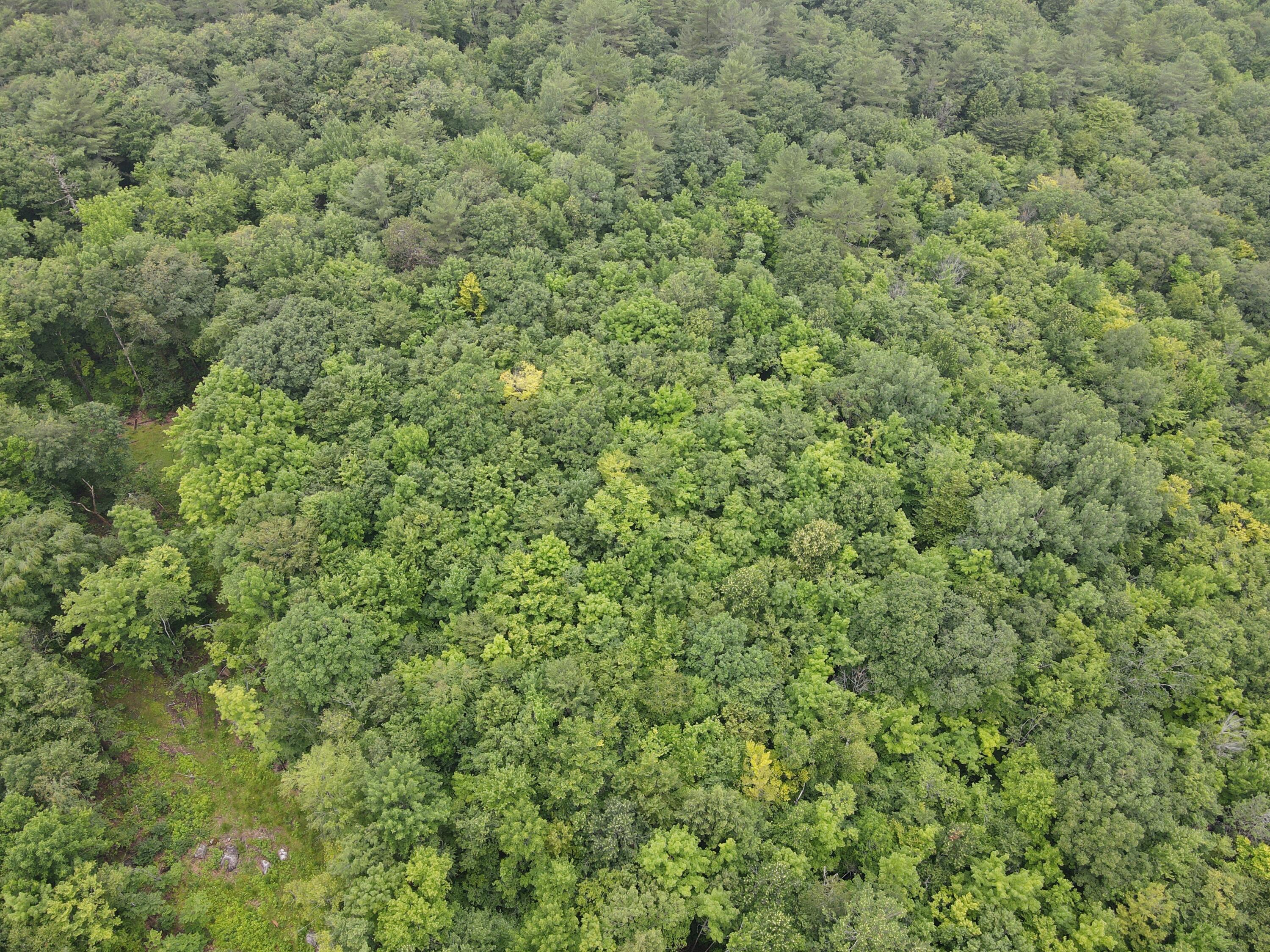 0 North Street Mechanic Falls, ME 04256 - Photo 9 of 18 dji_fly_20250712_110644_544_175234104815