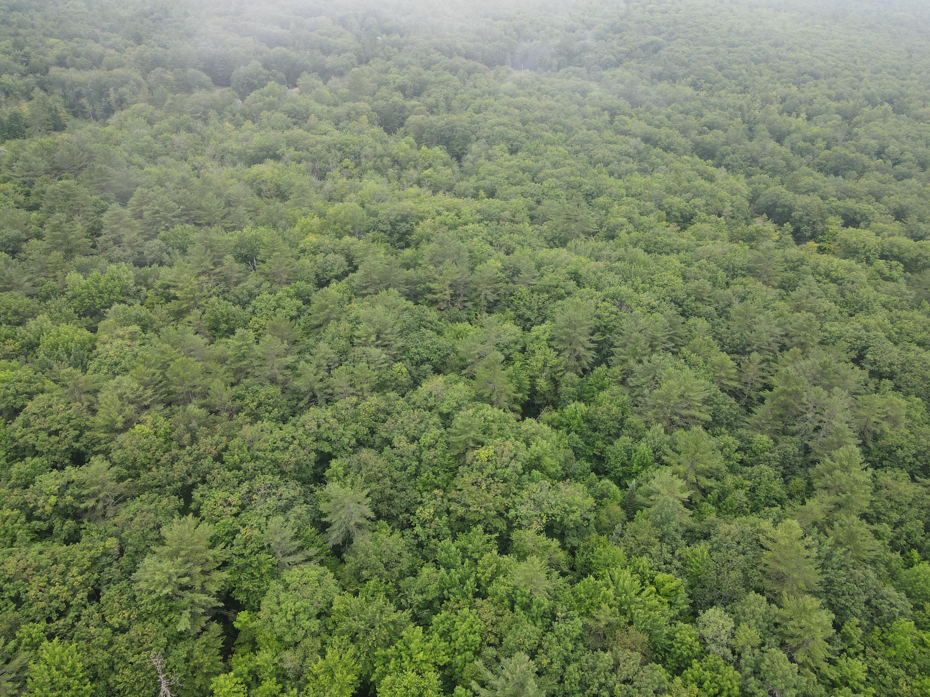 0 North Street Mechanic Falls, ME 04256 - Photo 10 of 18 dji_fly_20250712_110658_545_175234104593