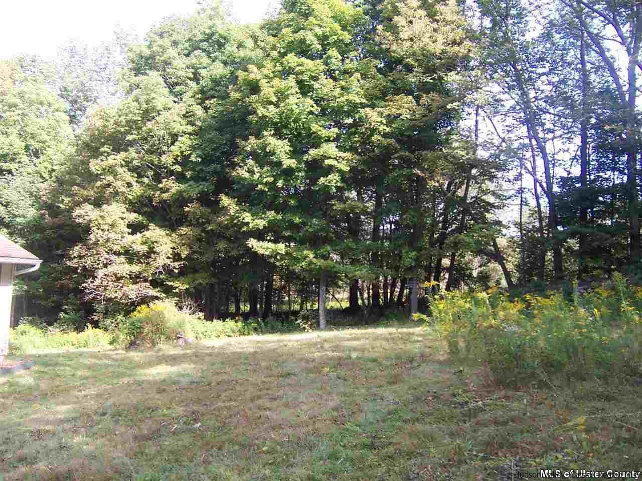 807 George Lawrence Road Roxbury, NY 12421 - Photo 4 of 8 a view of dirt yard