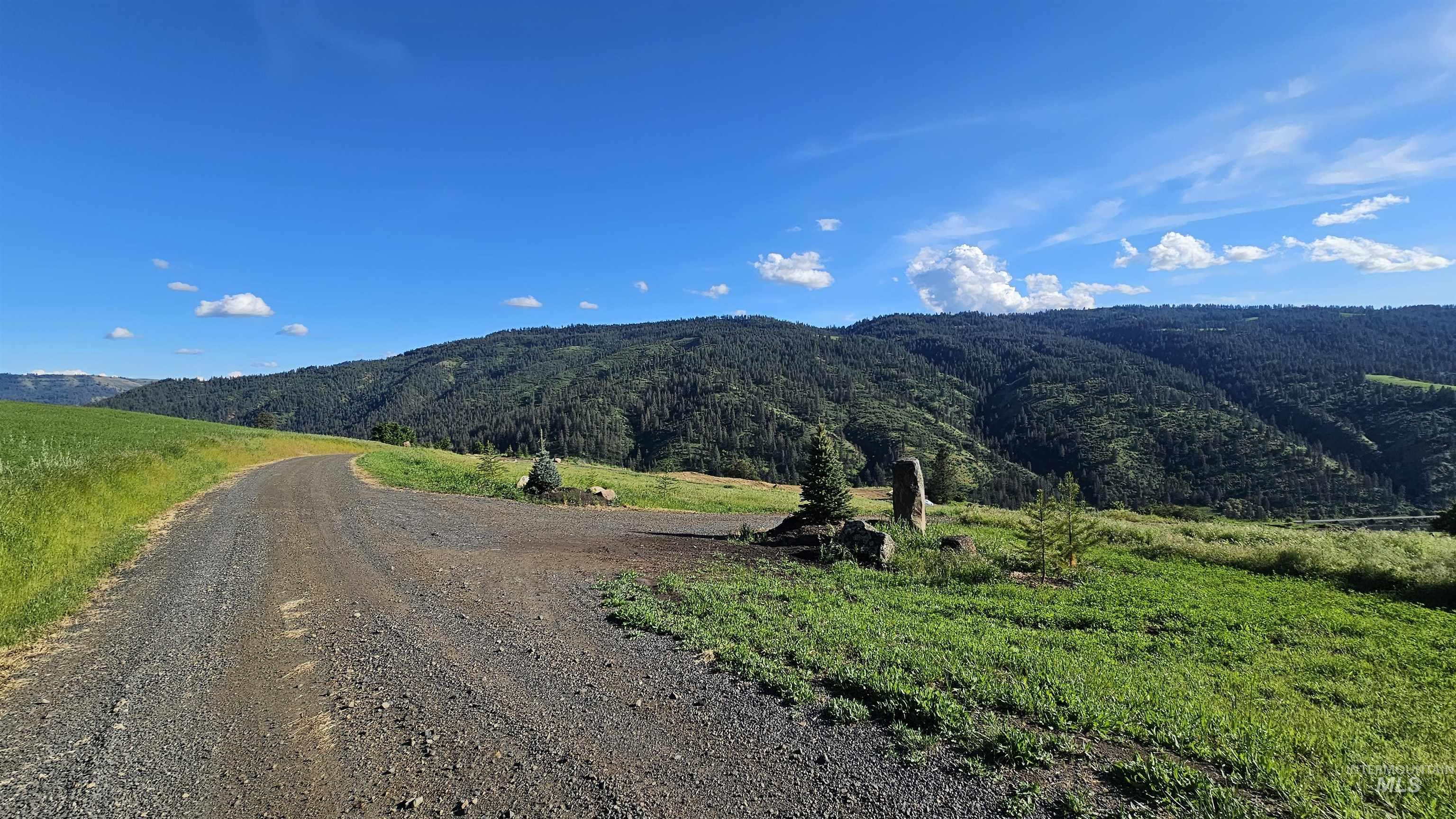 Tbd Lot 5 Tbd Lane Lenore, ID 83541 - Photo 4 of 31