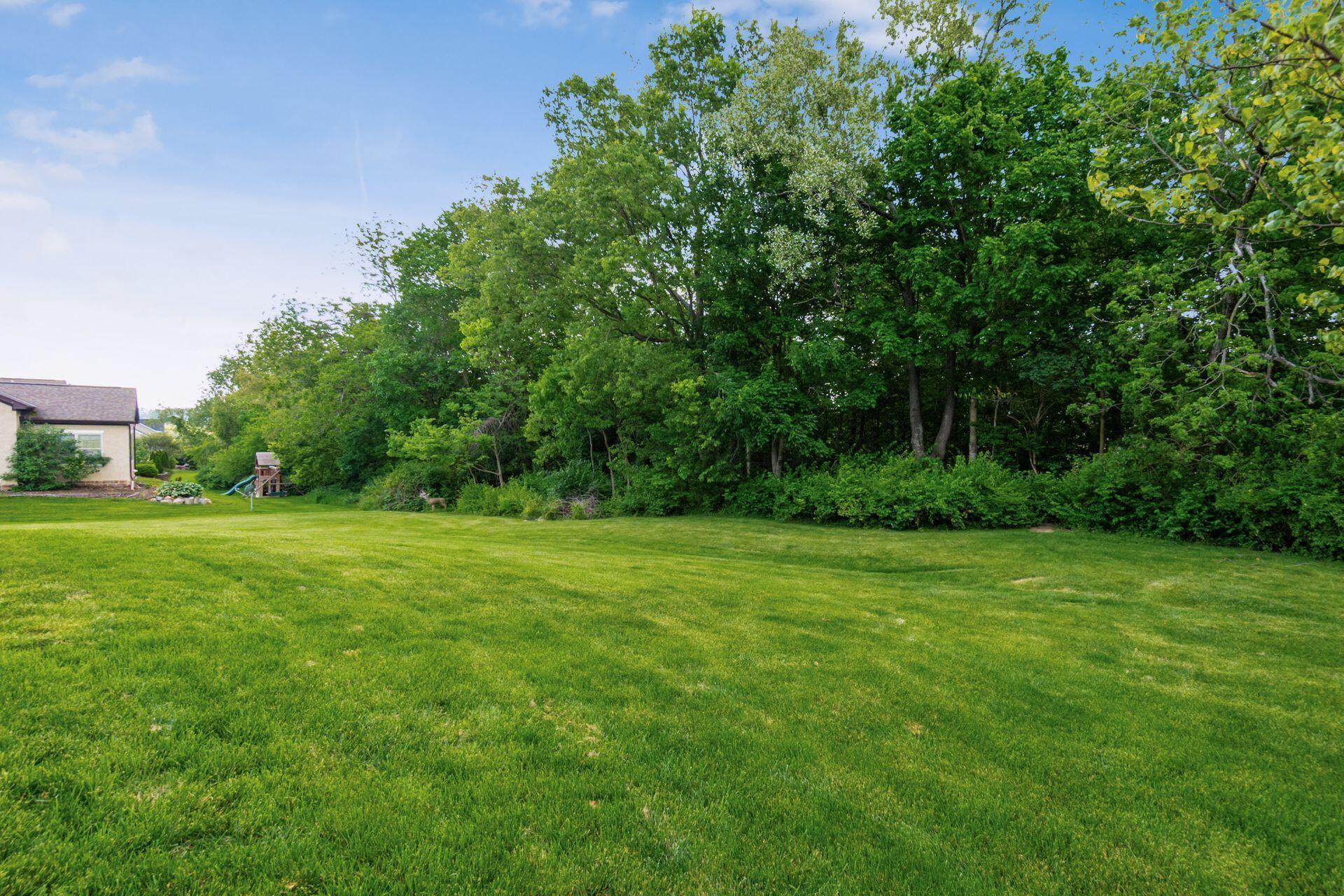1002 Rambling Brook Way Delaware, OH 43015 - Photo 86 of 104 Wooded Lot