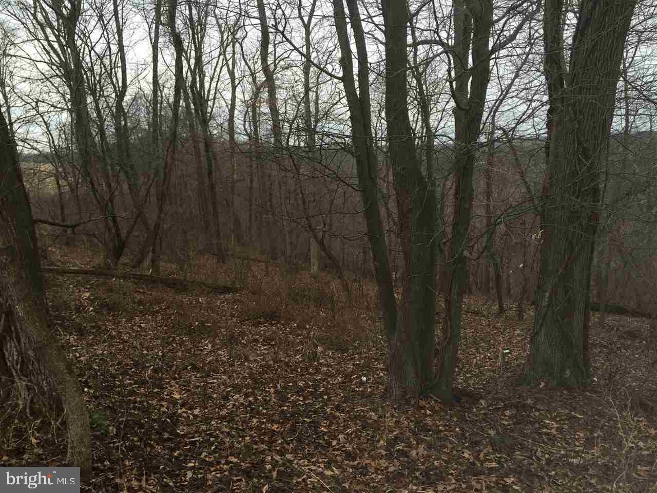 Orchard Road New Park, PA 17352 - Photo 1 of 6 Gallery Image 1