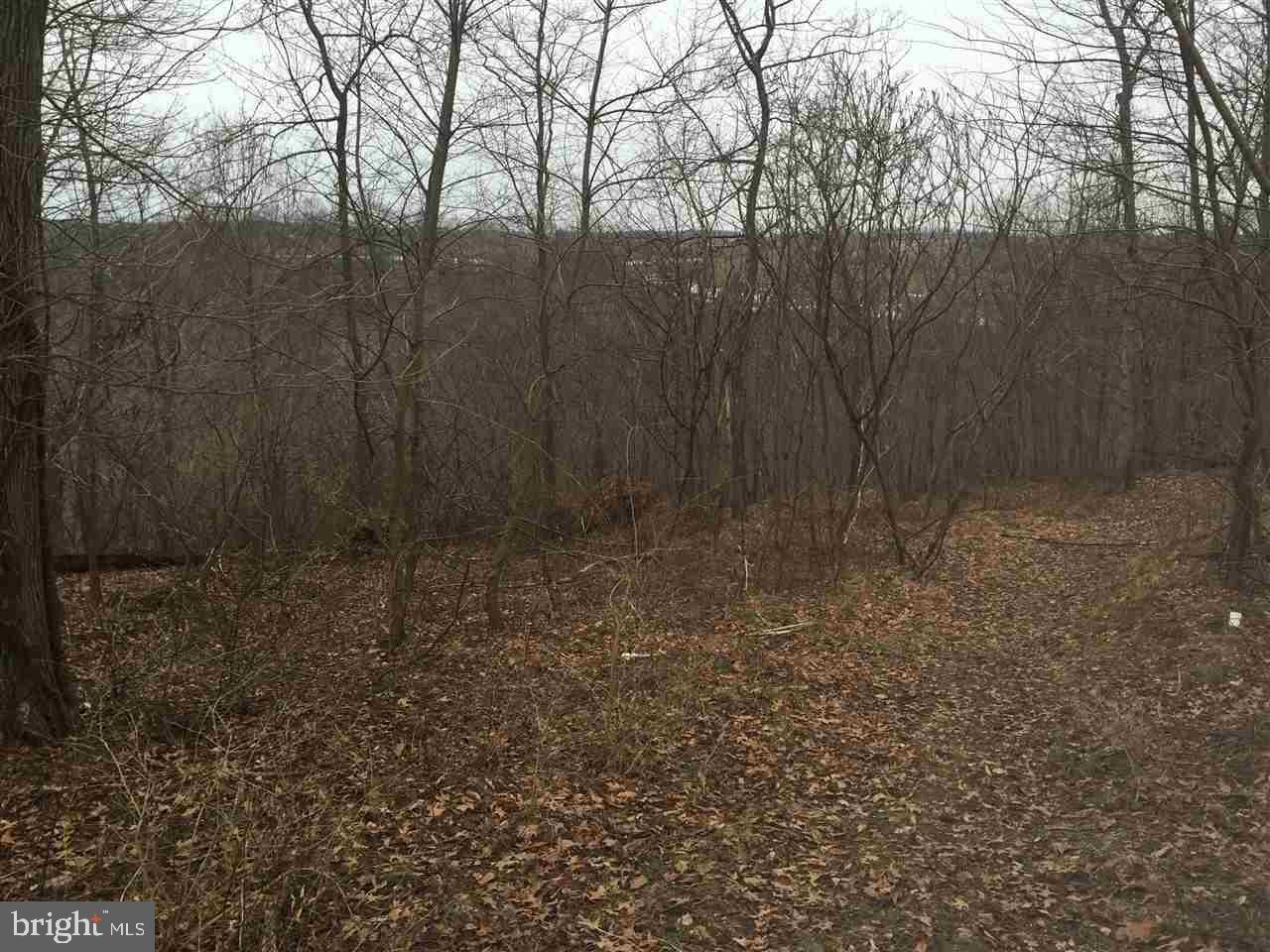 Orchard Road New Park, PA 17352 - Photo 2 of 6 Gallery Image 2