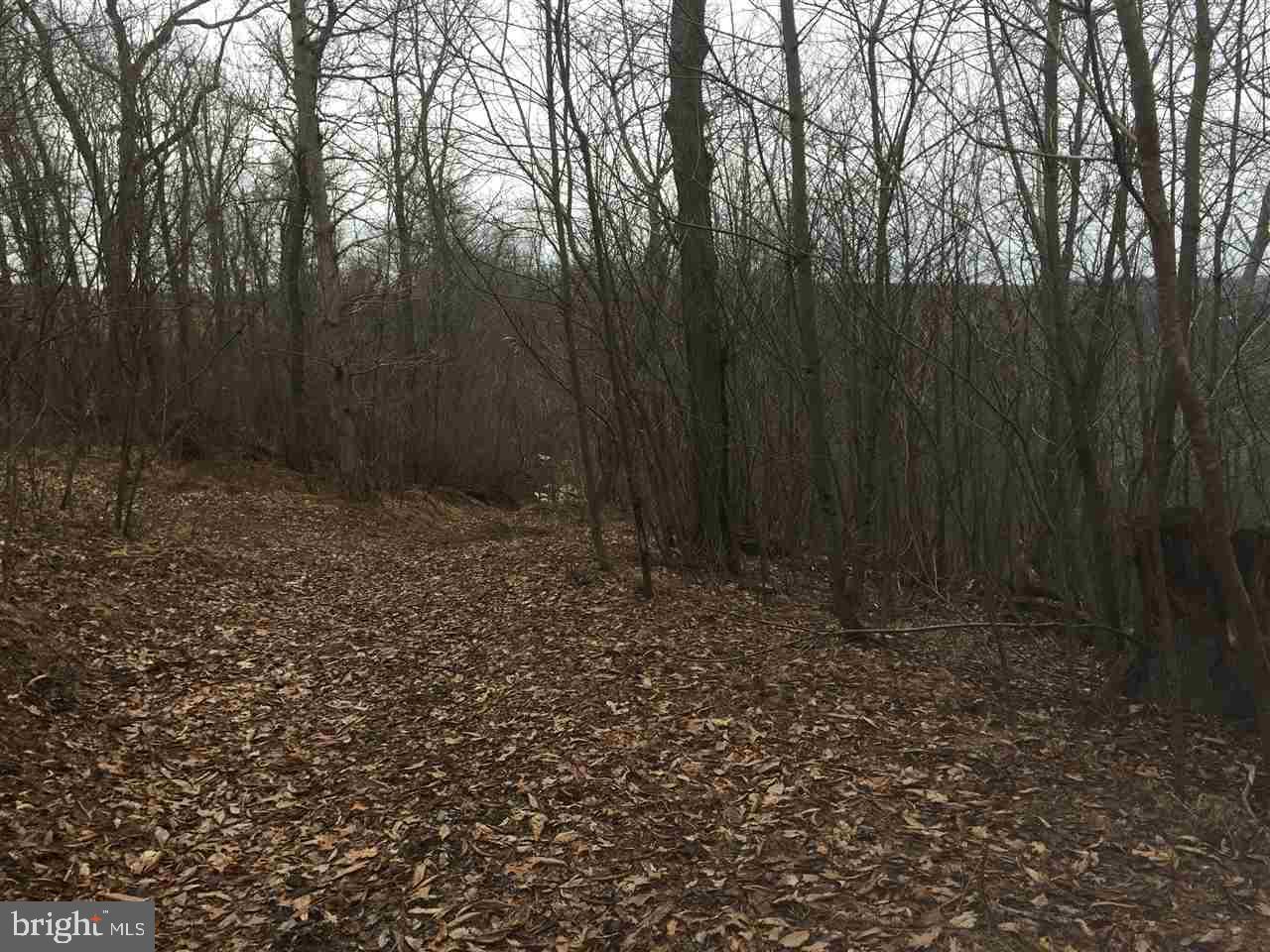 Orchard Road New Park, PA 17352 - Photo 5 of 6 Gallery Image 5