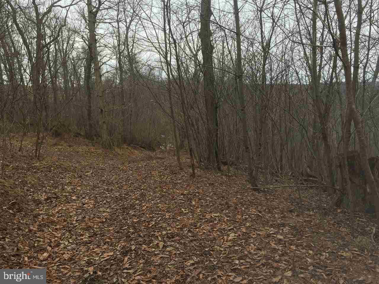 Orchard Road New Park, PA 17352 - Photo 6 of 6 Gallery Image 6
