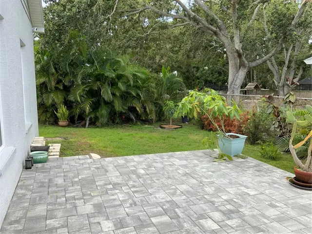 a view of a garden with plants
