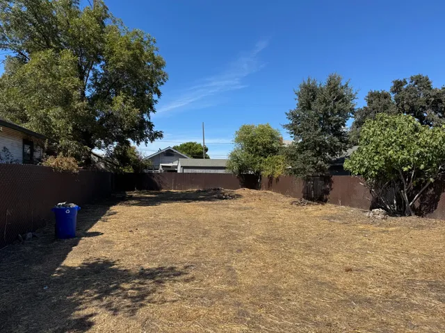 a street view covered with tall trees