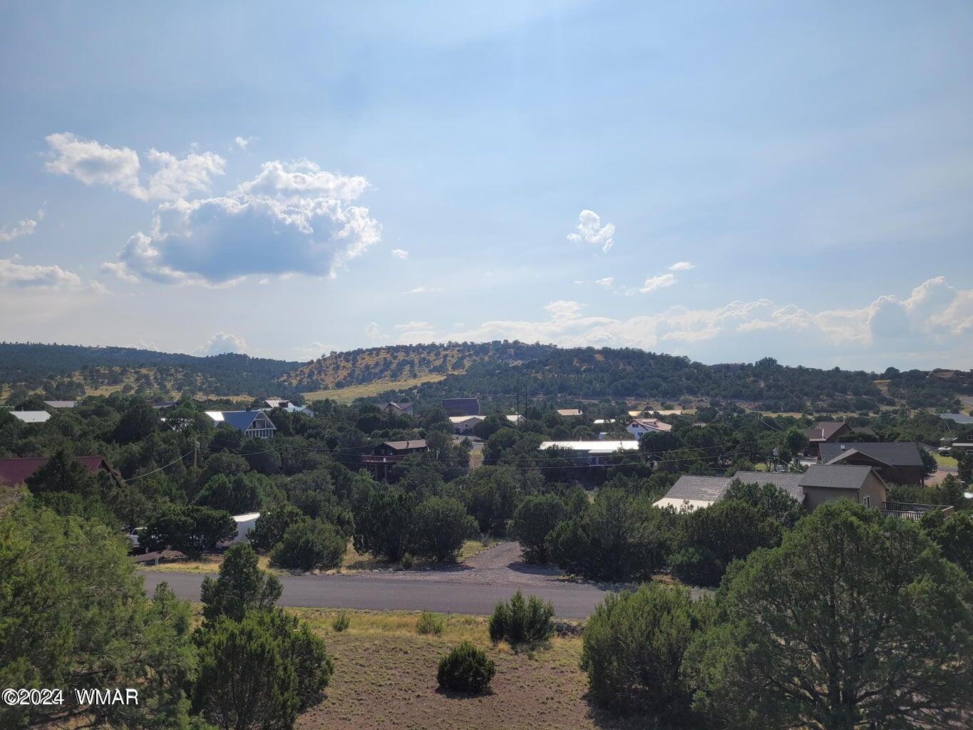 1285 Spruce Street Eagar, AZ 85925 - Photo 3 of 13
