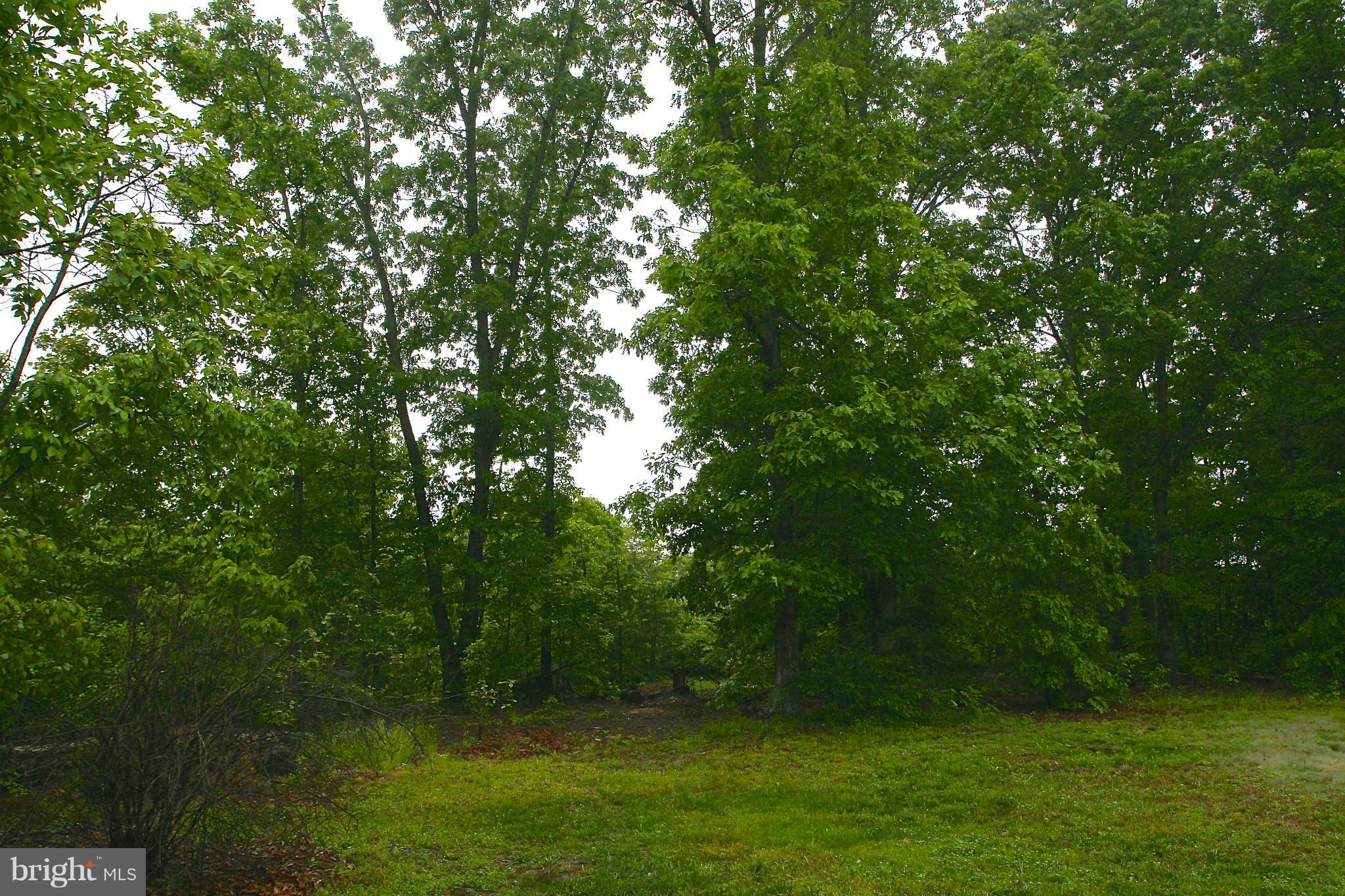 7054 Tanglewood Road Spotsylvania, VA 22551 - Photo 17 of 18 Wooded View