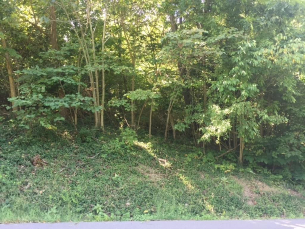 - Old Castle Road, Unit 2 Kingsport, TN 37660 - Photo 1 of 4 Photo 1