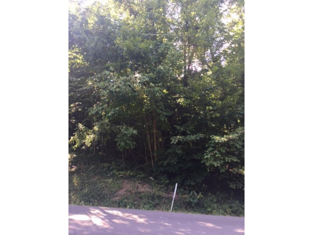 - Old Castle Road, Unit 2 Kingsport, TN 37660 - Photo 3 of 4 Photo 3