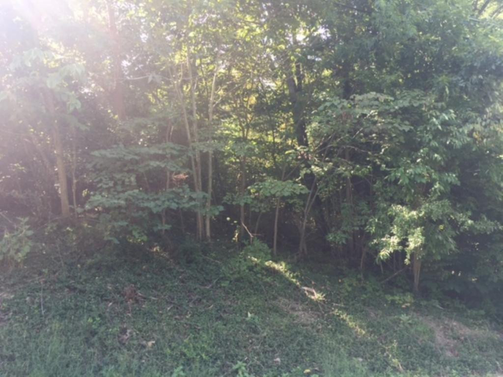 - Old Castle Road, Unit 2 Kingsport, TN 37660 - Photo 4 of 4 Photo 4