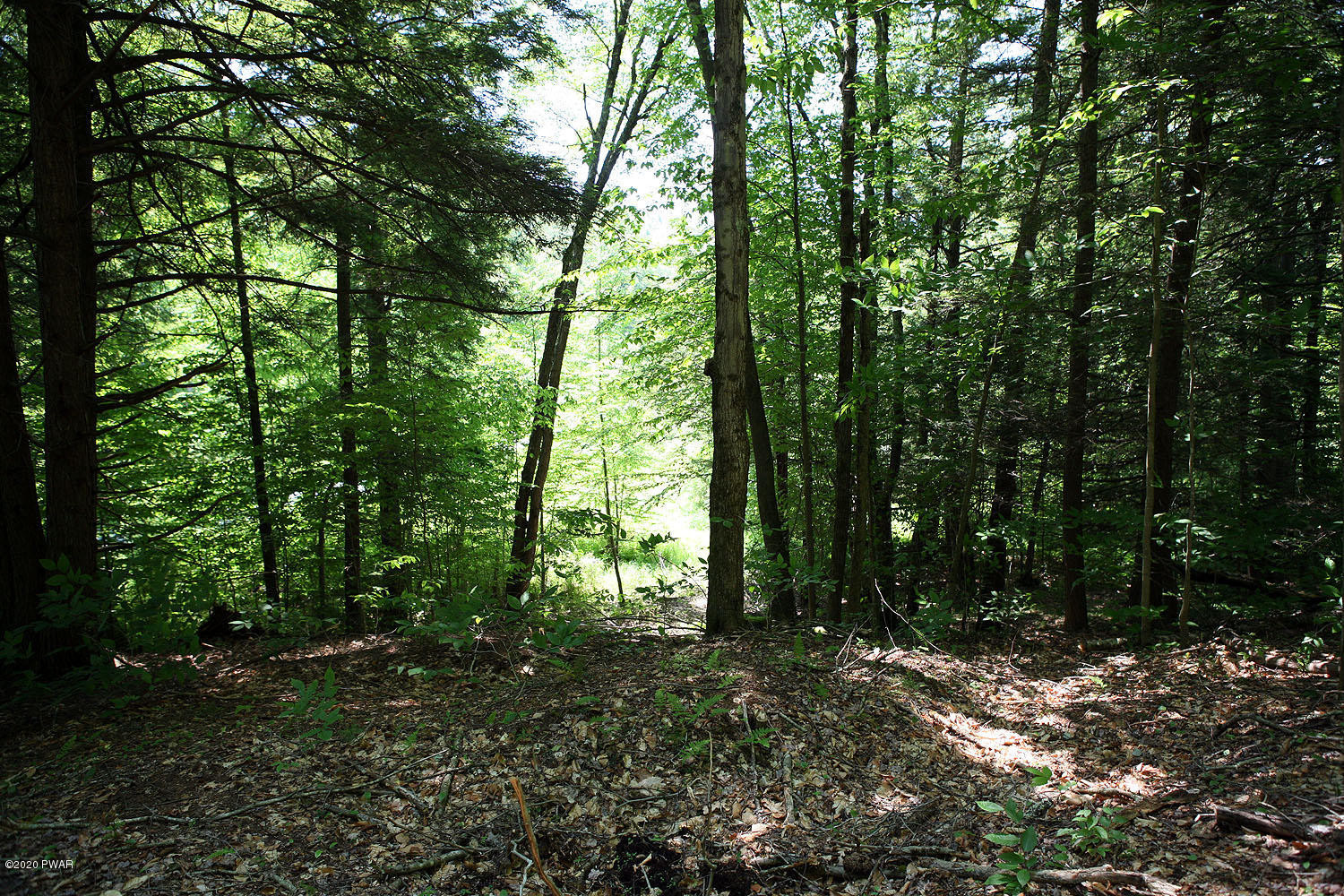 0 Braman Road Equinunk, PA 18417 - Photo 32 of 36