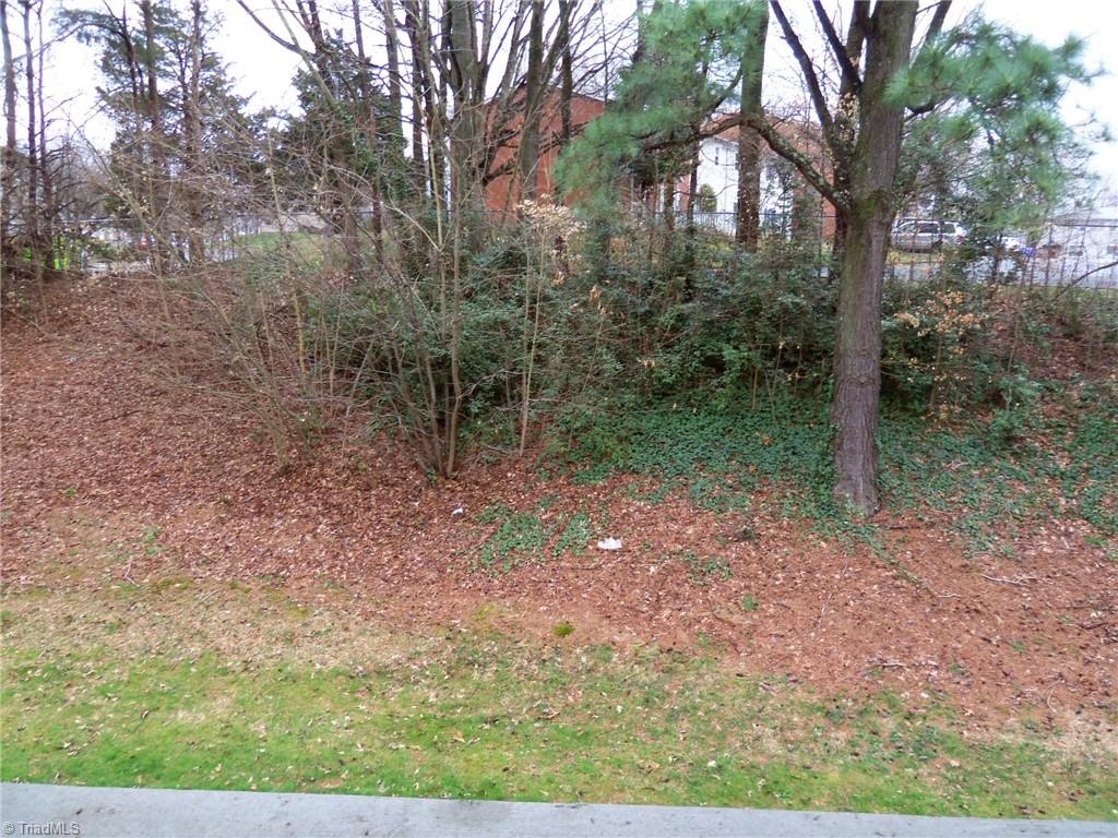 5669 Hornaday Road Greensboro, NC 27409 - Photo 13 of 13 Another view from back porch