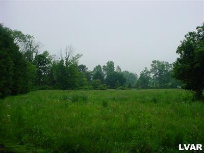 995 Gove Road Nazareth, PA 18064 - Photo 2 of 2 a view of a field of grass and trees