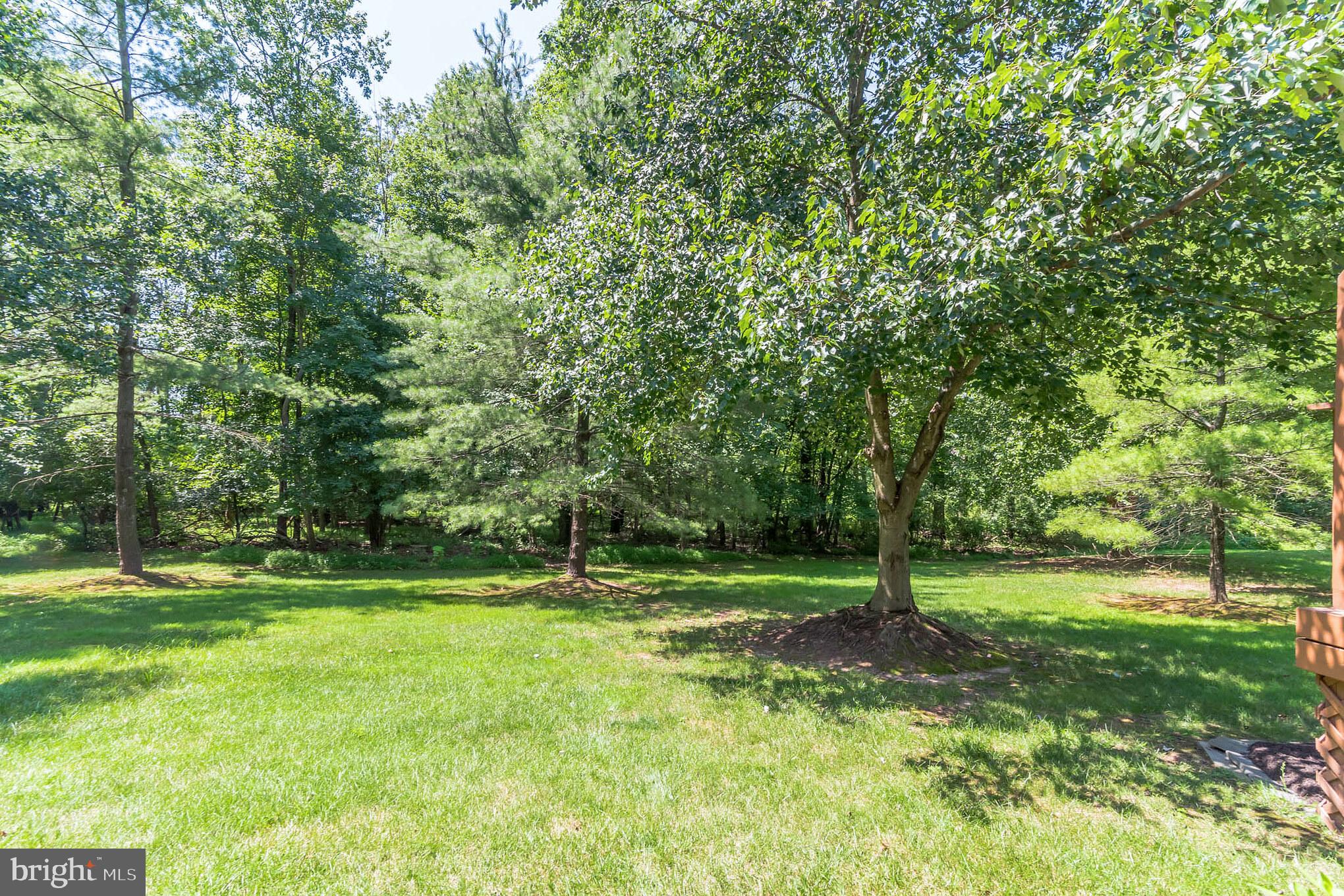 187 Fox Run Road Ambler, PA 19002 - Photo 23 of 23