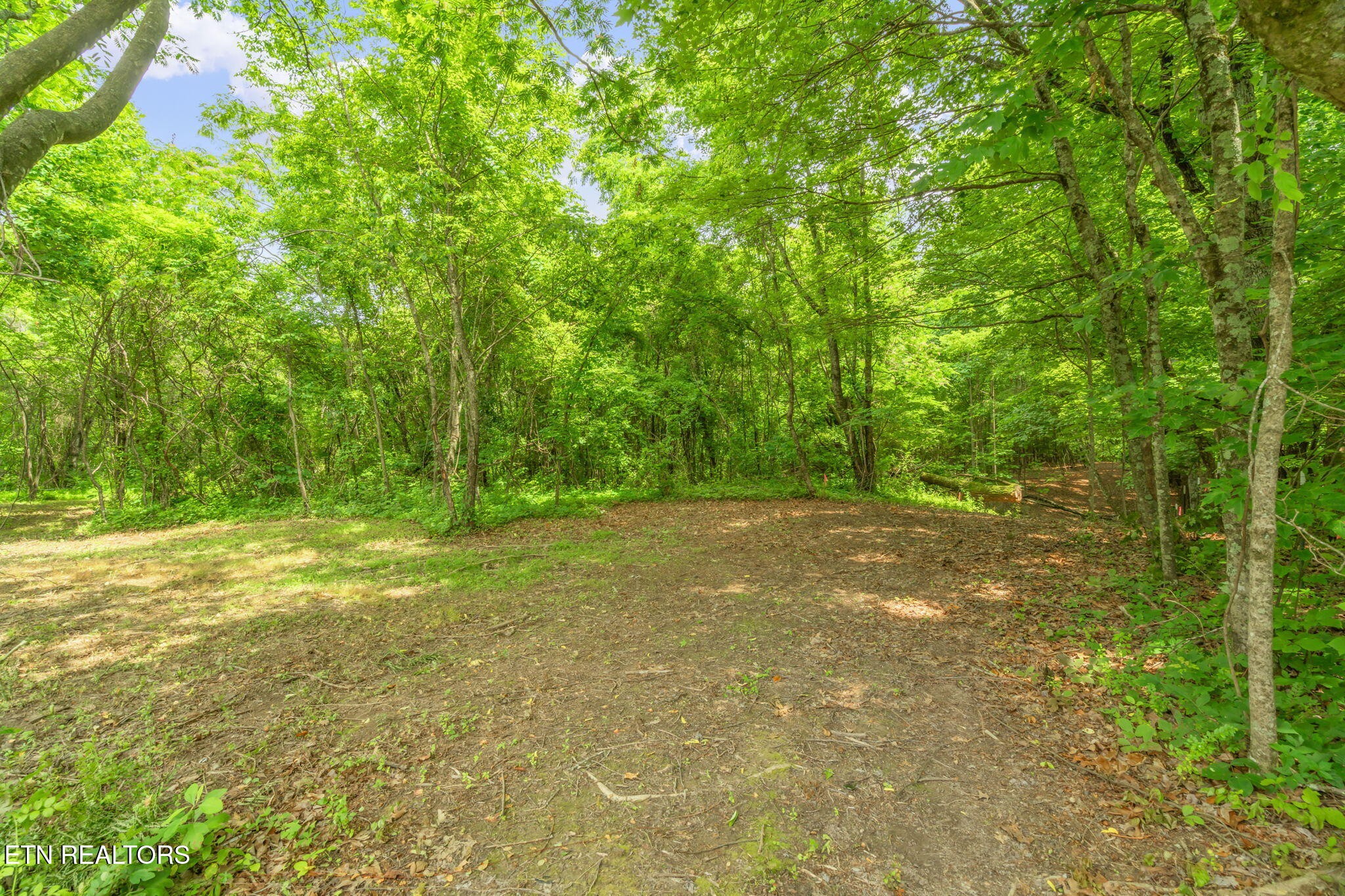 2 Black Oak Road Clinton, TN 37716 - Photo 3 of 16 Gallery Image 3
