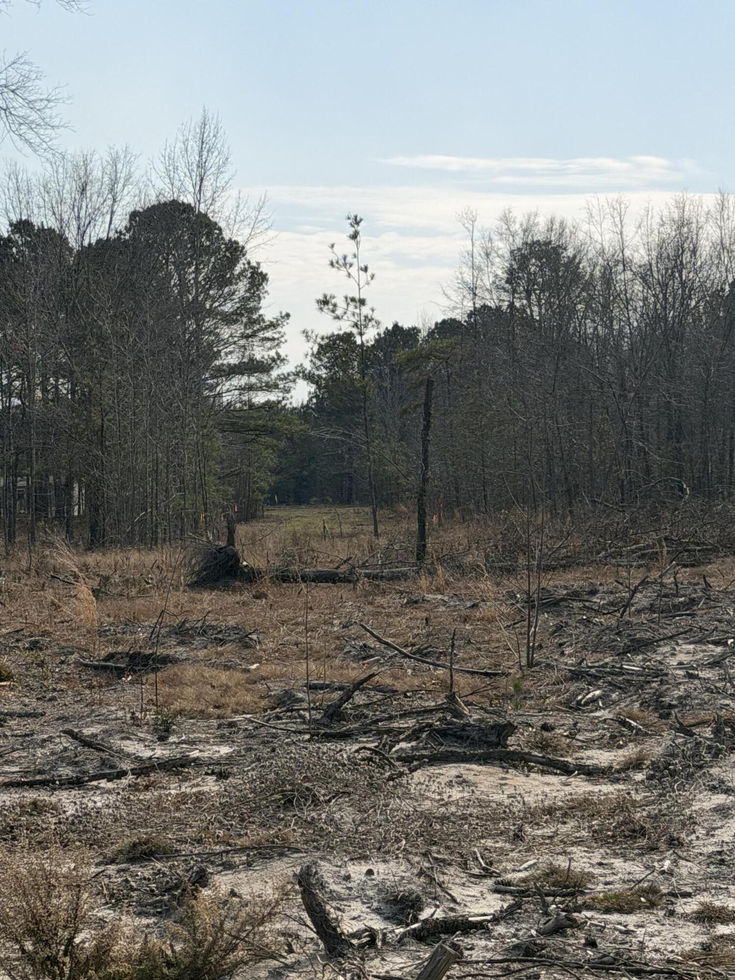 20.33 R And B Road Barnwell, SC 29812 - Photo 4 of 11