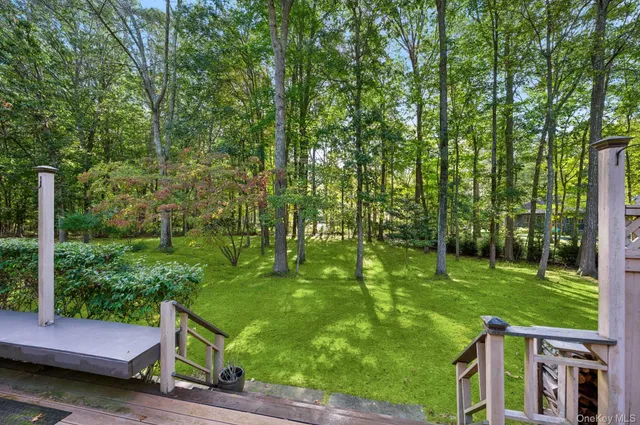 a view of a park with large trees