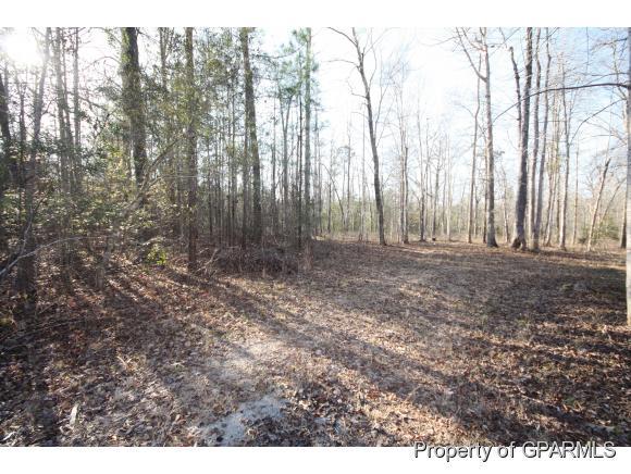 74 Long Point Road Chocowinity, NC 27817 - Photo 3 of 13 Additional Photo