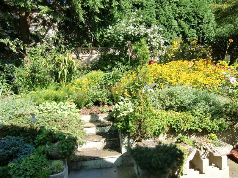 7 Dorchester Lane Riverside, CT 06878 - Photo 7 of 7 a view of a yard with plants