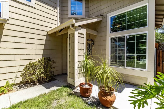 a potted plant sitting in front of a house