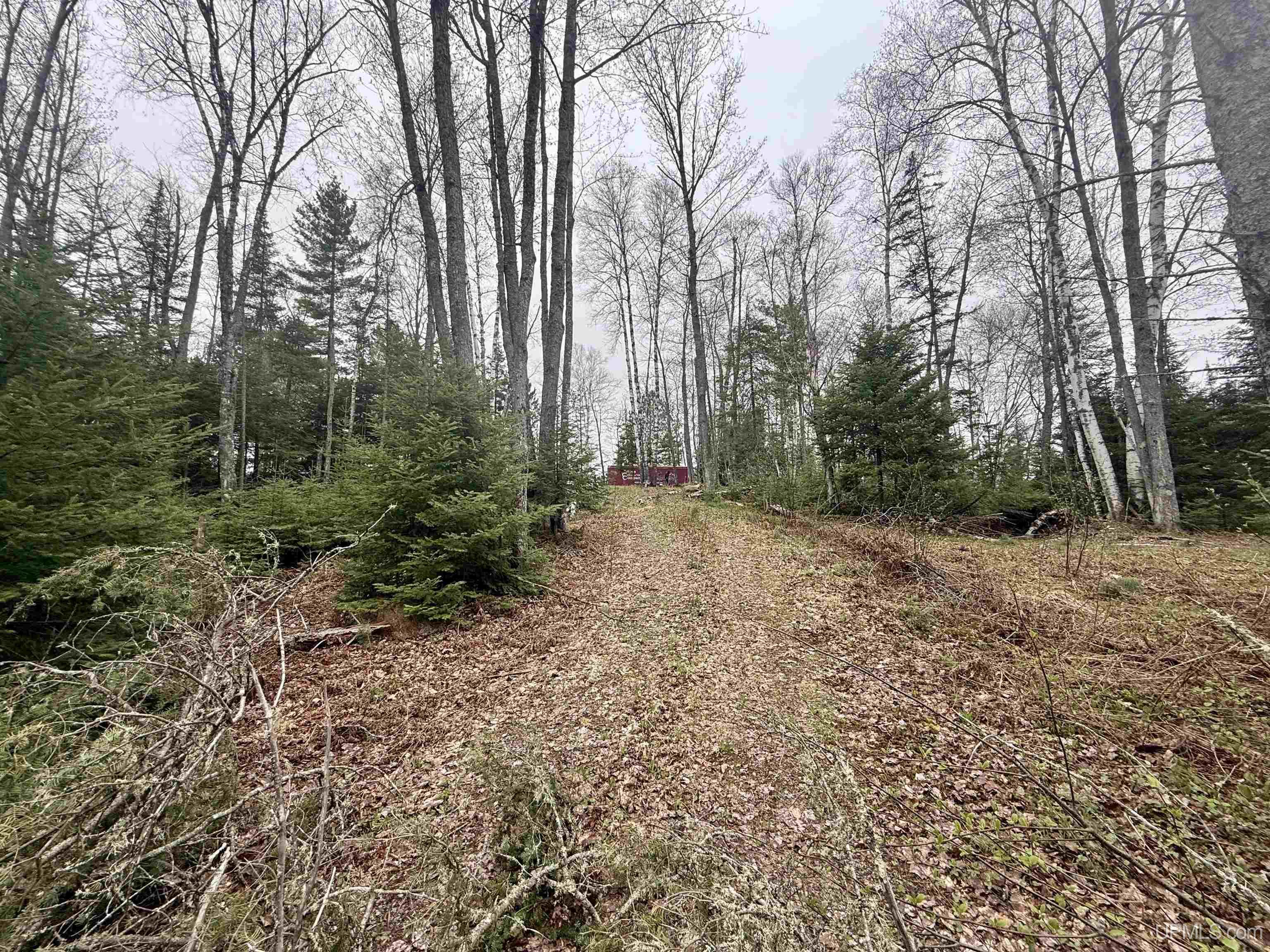 Tbd North Horseshoe Lake Road Republic, MI 49879 - Photo 4 of 12
