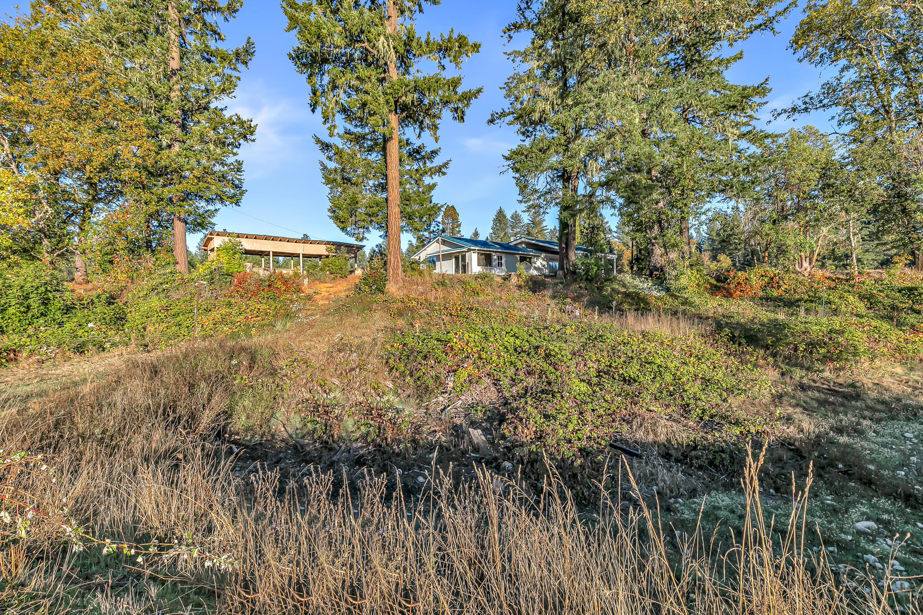 570 Garner Road Cave Junction, OR 97523 - Photo 47 of 50 9R9A4295
