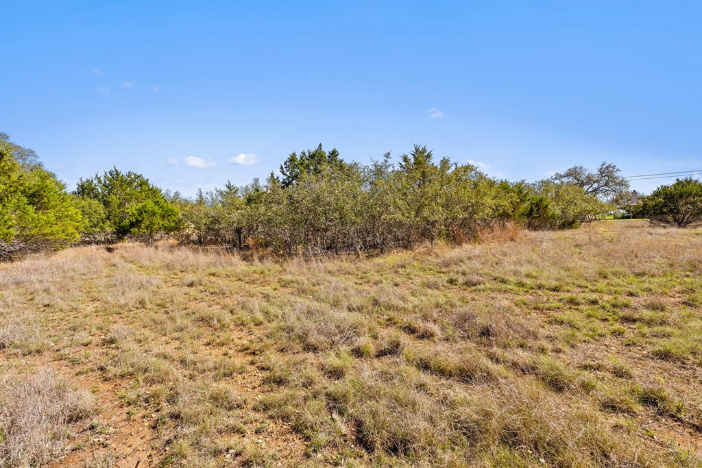 207 North Calvin Barrett, Unit 220 Blanco, TX 78606 - Photo 6 of 18 a view of a field with trees in the background