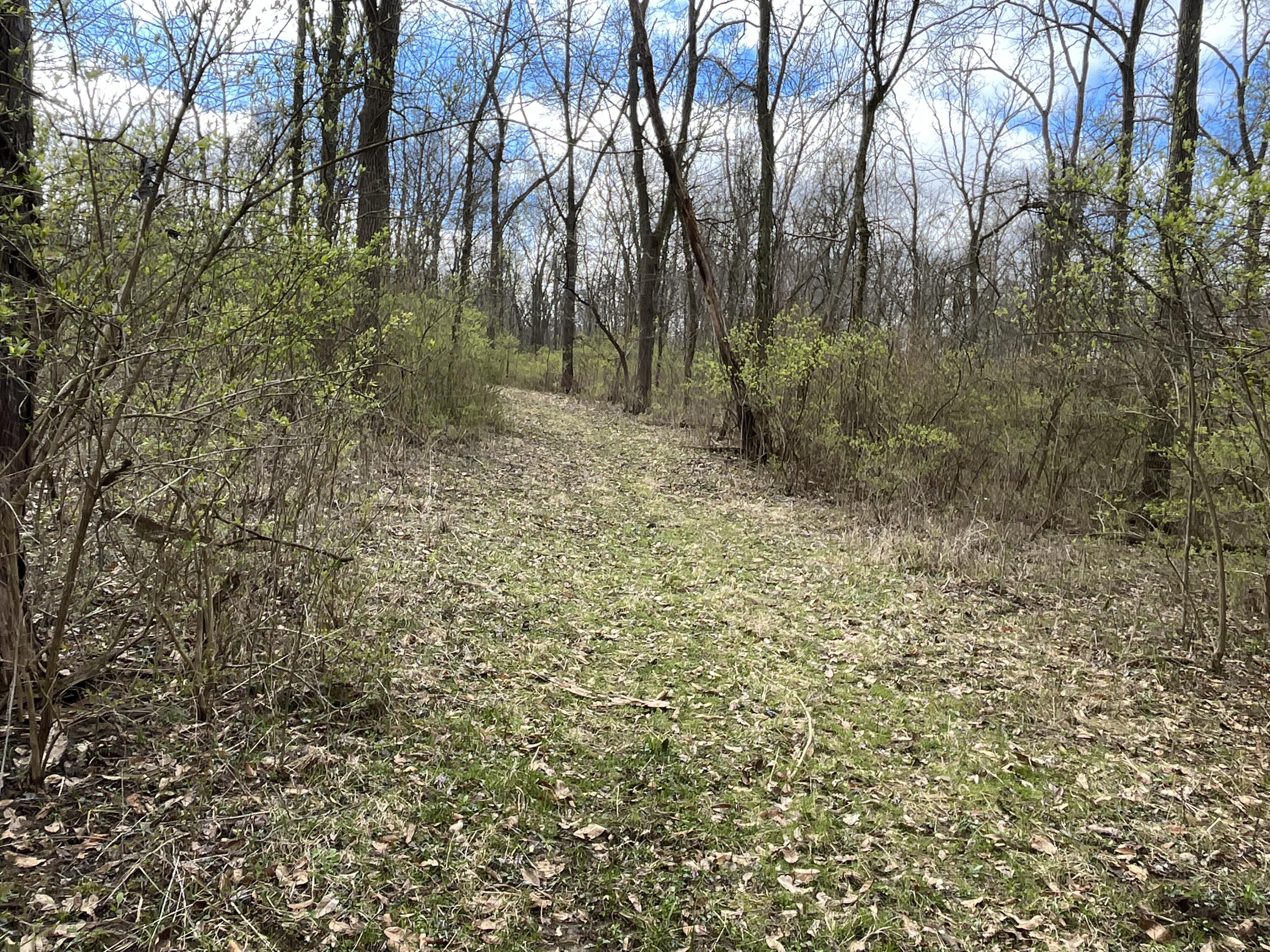 O Flatfoot Road Cable, OH 43009 - Photo 28 of 52