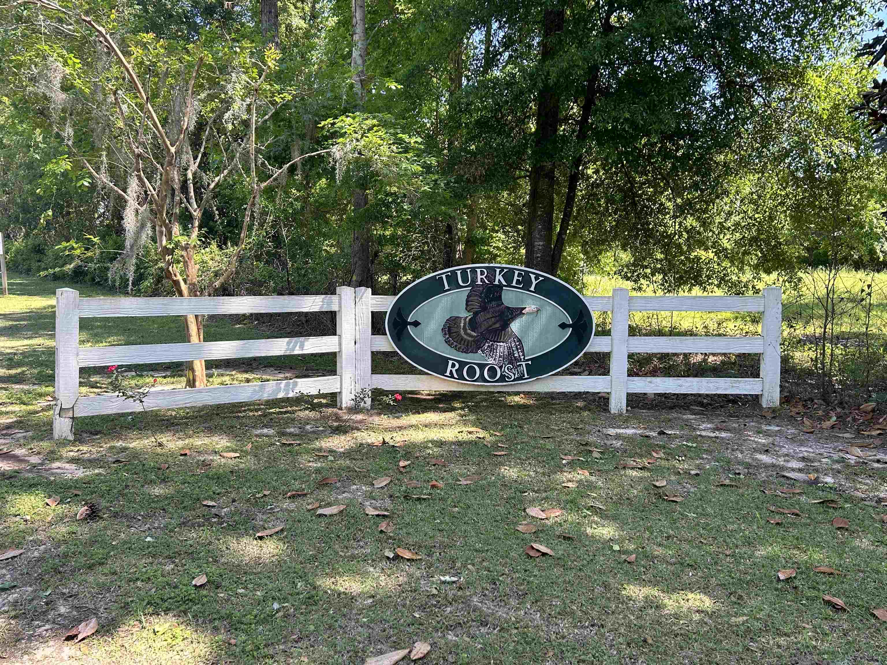 0 Turkey Roost Road Tallahassee, FL 32317 - Photo 1 of 13 Gallery Image 1