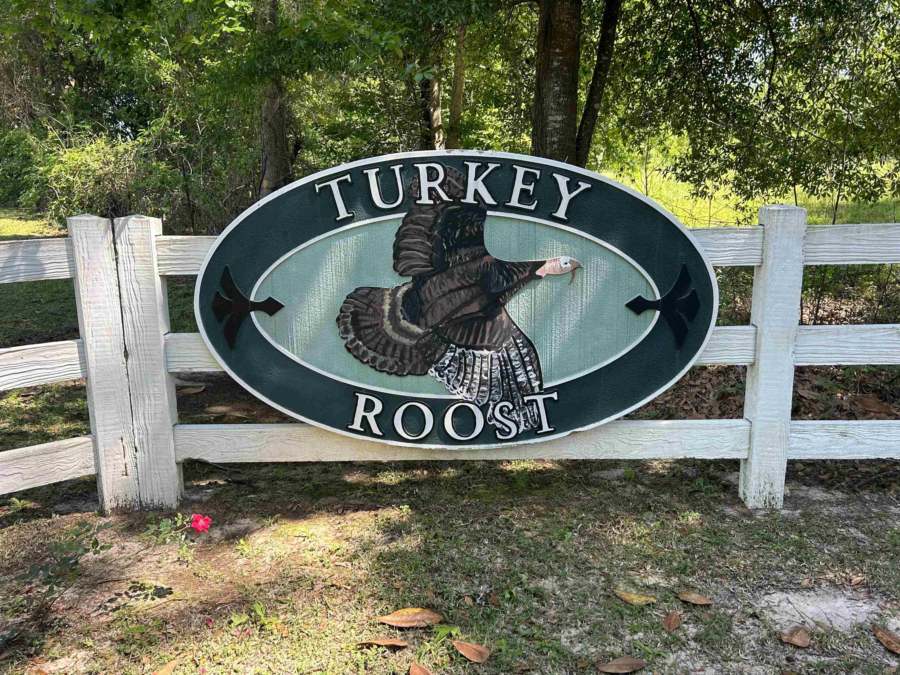 0 Turkey Roost Road Tallahassee, FL 32317 - Photo 13 of 13 Gallery Image 13