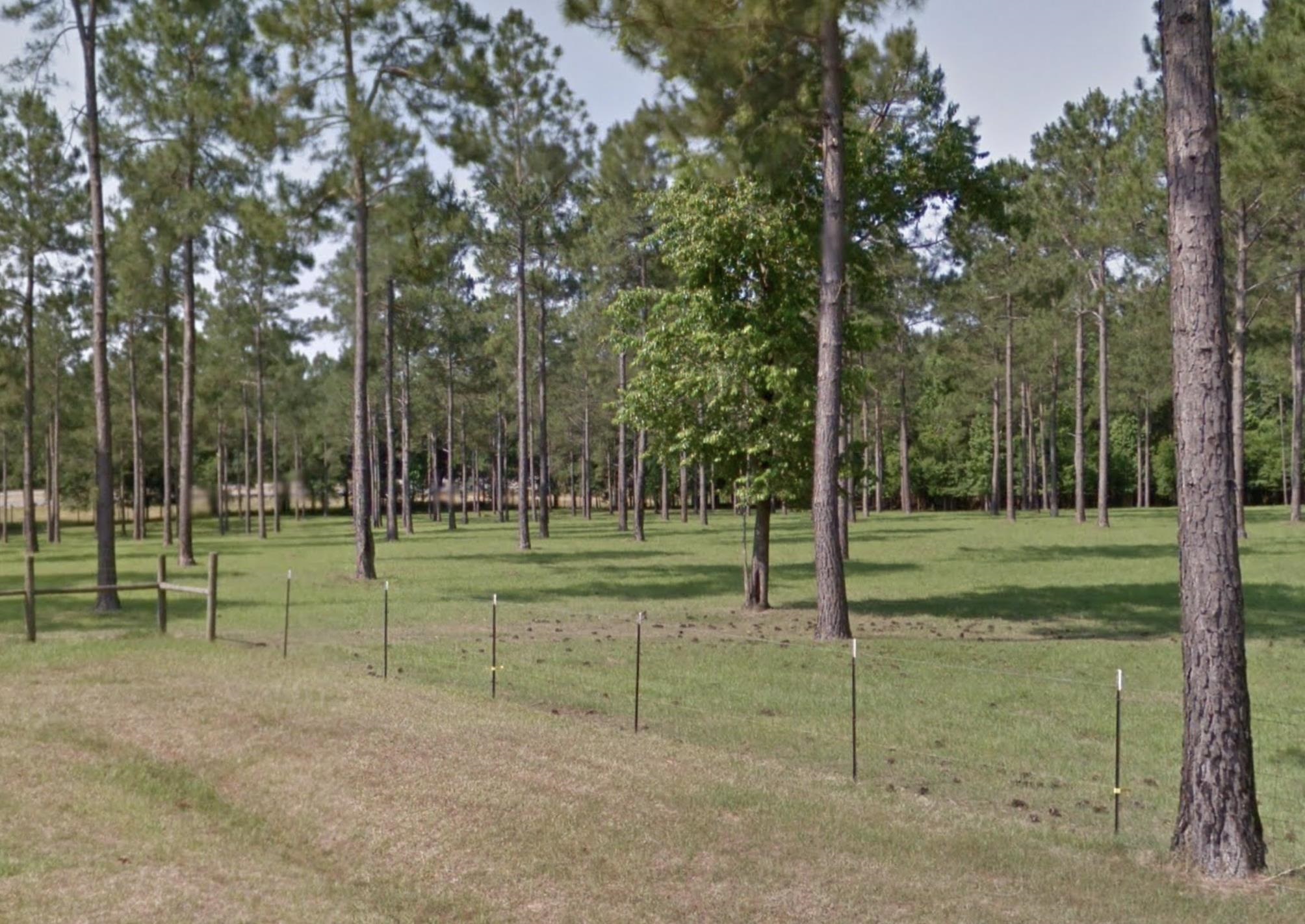 0 Turkey Roost Road Tallahassee, FL 32317 - Photo 4 of 13 Gallery Image 4
