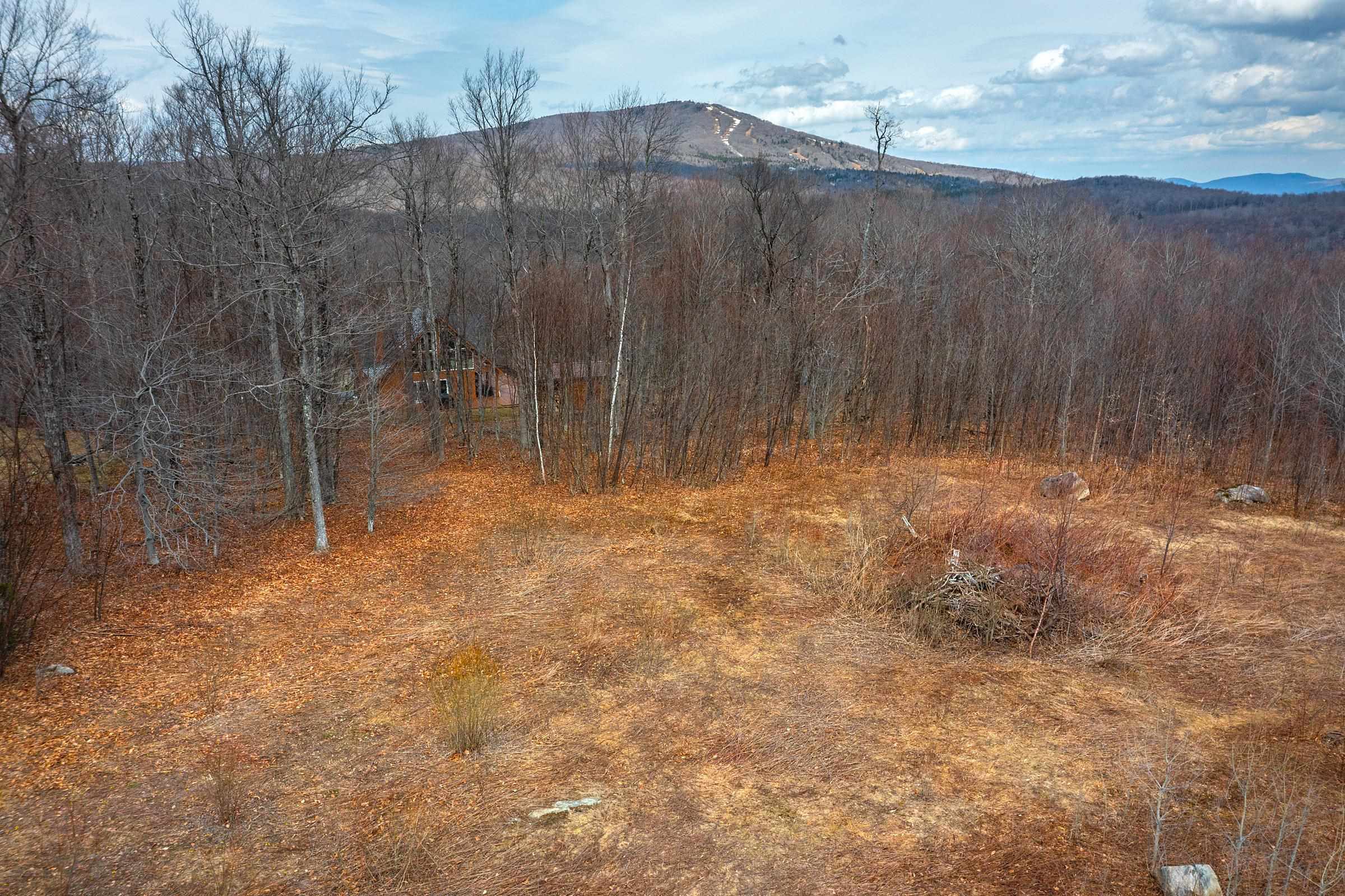 23 Moose Hollow Road, Unit 40 Winhall, VT 05340 - Photo 3 of 12