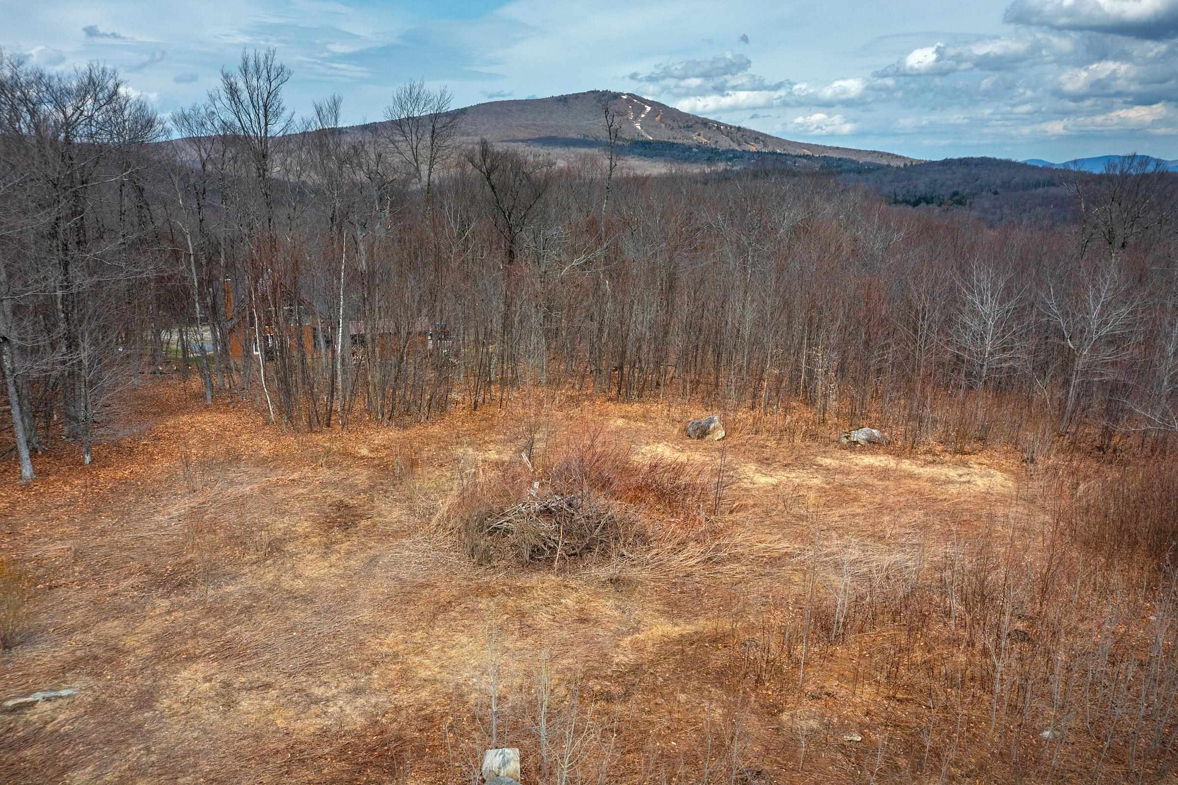 23 Moose Hollow Road, Unit 40 Winhall, VT 05340 - Photo 9 of 12