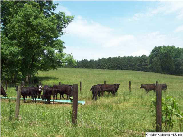 2788 Cox Cove Road Hayden, AL 35079 - Photo 5 of 32
