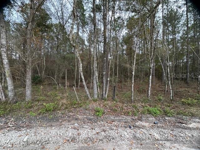 0 Southeast High Falls Road Lake City, FL 32025 - Photo 2 of 4 a backyard of a house with lots of green space